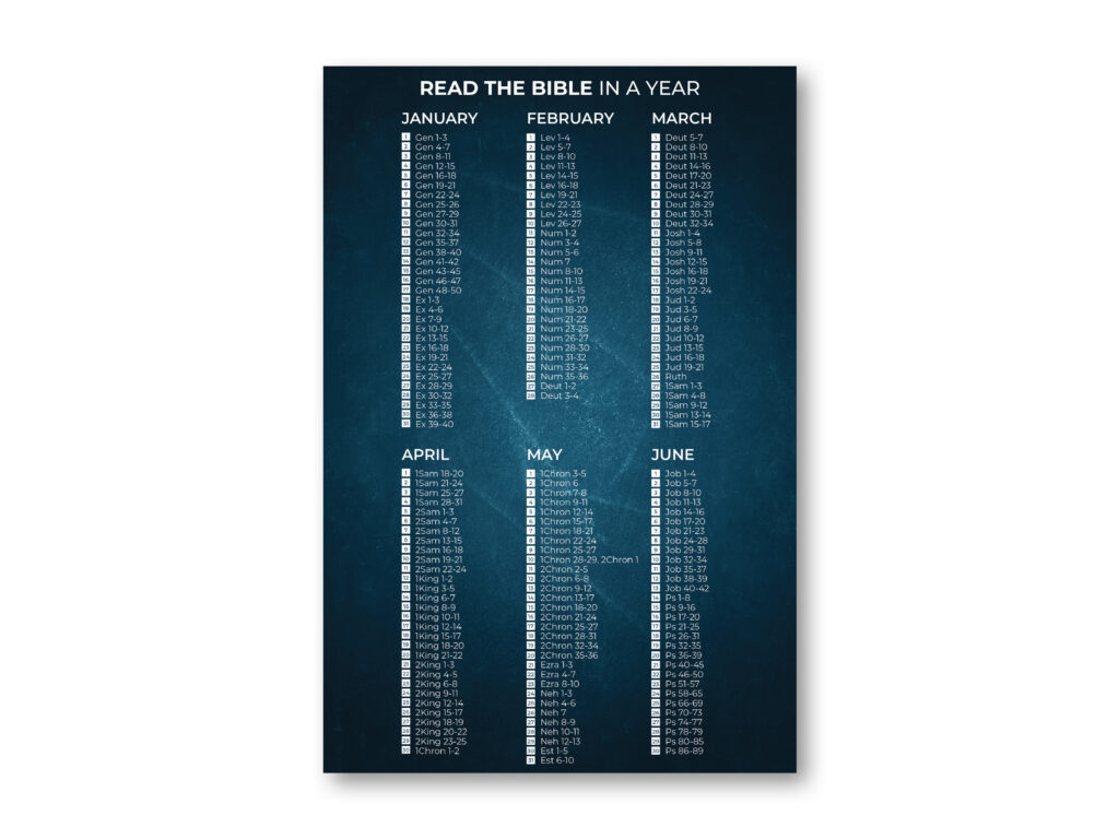 Read Your Bible Through In A Year - The Light Print Company